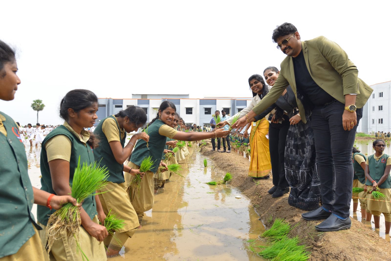 WORLD RECORD FOR PADDY SEEDLINGS TRANSPLANTING ON 174240 SQUARE FEET TO CREATE AWARENESS UNDER THE THEME "DON'T WASTE FOOD" BY 2000 COLLEGE STUDENTS